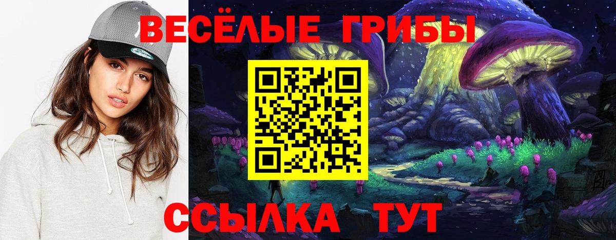 Псилоцибиновые грибы Cubensis Воркута